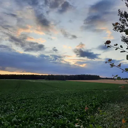 Feriehus In Clenzer Schweiz *